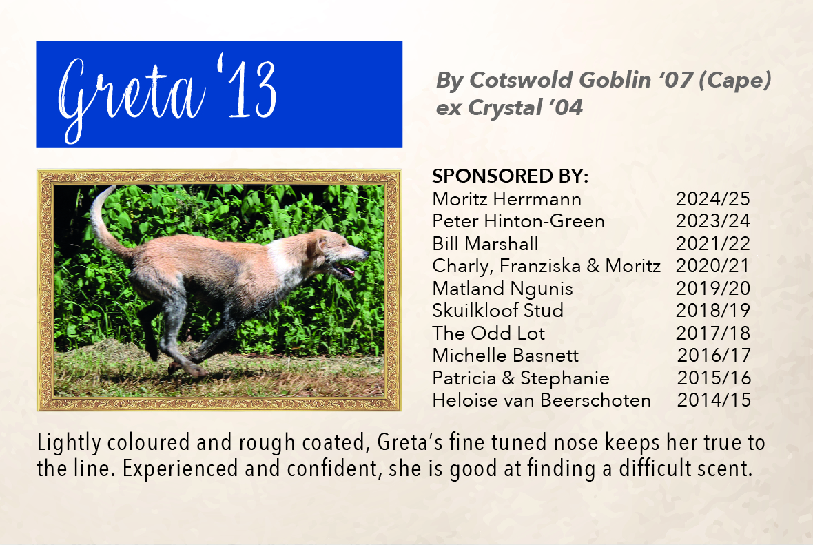 1_hound_pictures_&_sponsors_2024_greta_13.jpg