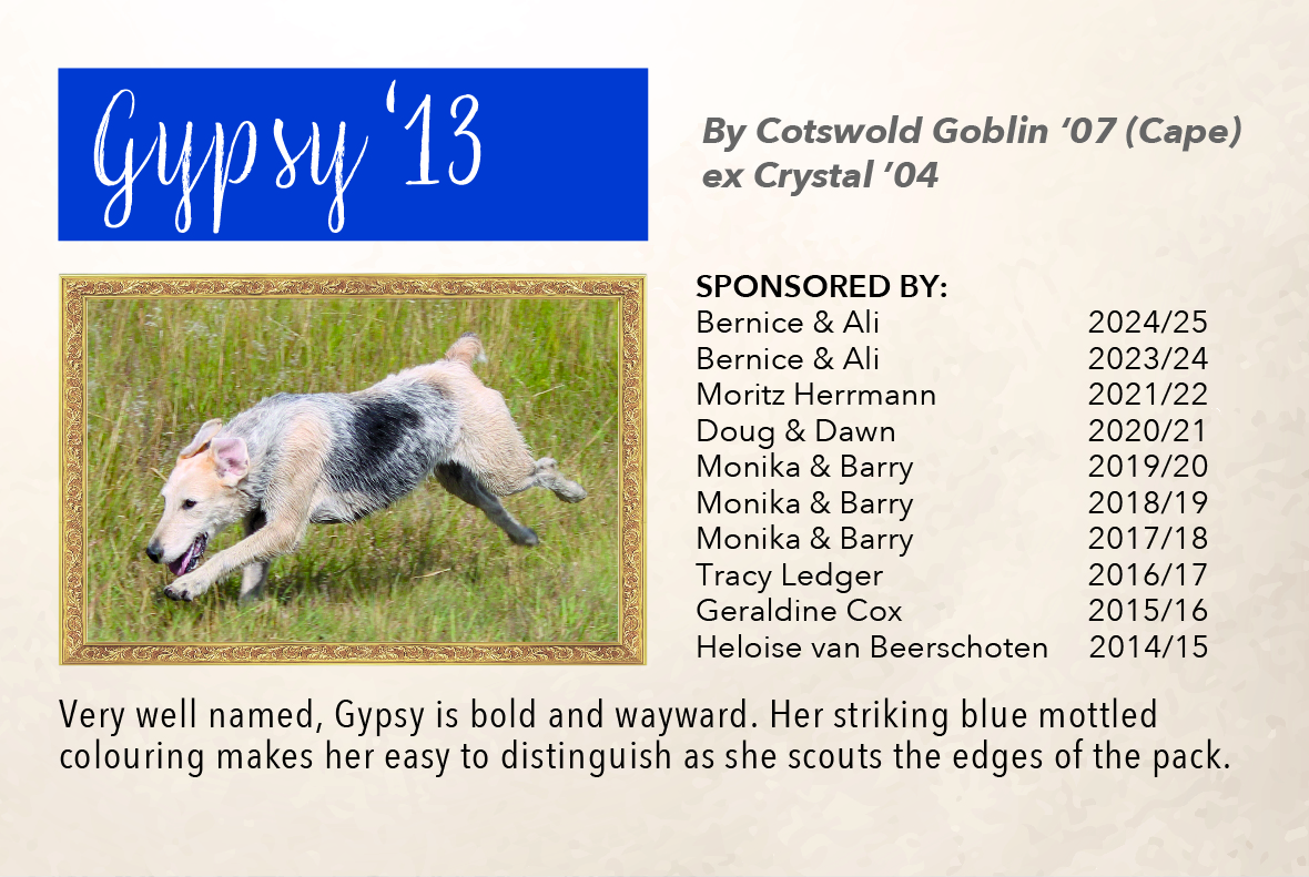 1_hound_pictures_&_sponsors_2024_gypsy_13.jpg