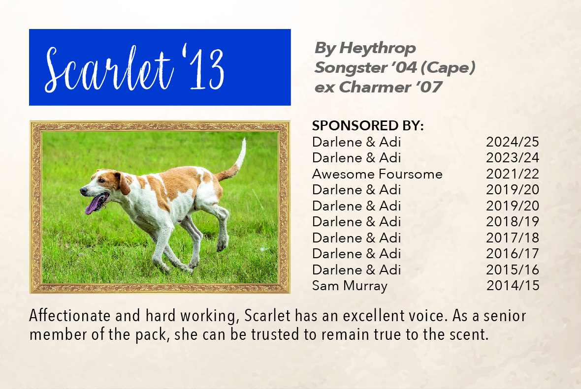 1_hound_pictures_&_sponsors_2024_scarlet_13.jpg