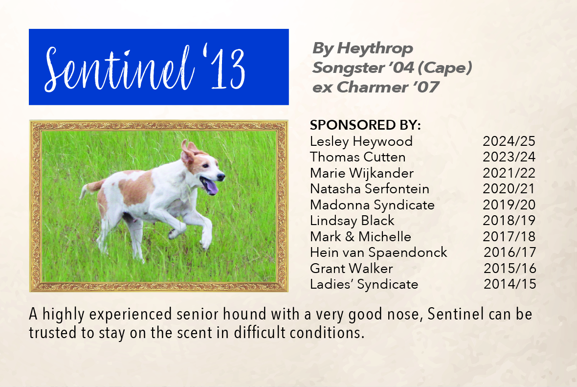 1_hound_pictures_&_sponsors_2024_sentinel_13.jpg