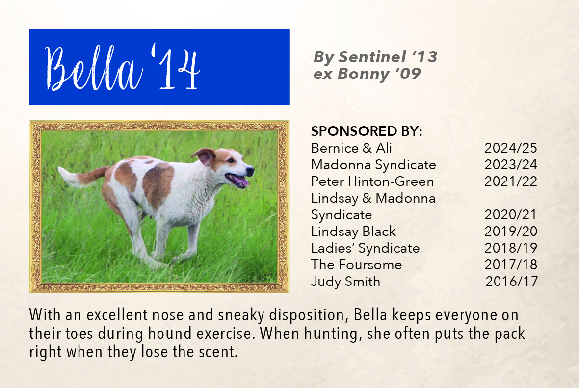 2_hound_pictures_&_sponsors_2024_bella_14.jpg