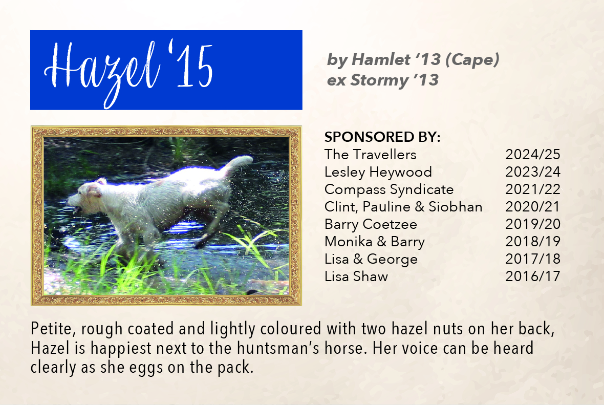 3_hound_pictures_&_sponsors_2024_hazel_15.jpg
