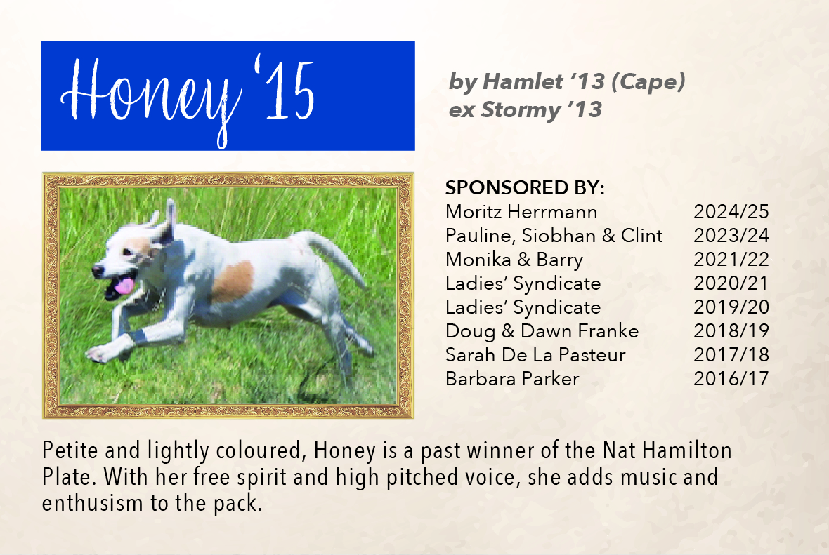 3_hound_pictures_&_sponsors_2024_honey_15.jpg