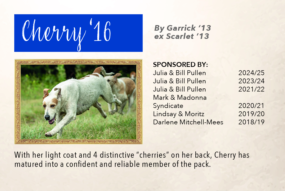 4_hound_pictures_&_sponsors_2024_cherry_16.jpg