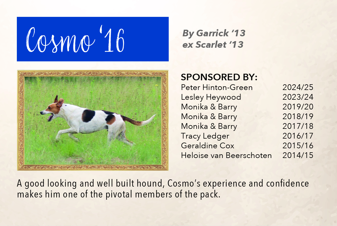 4_hound_pictures_&_sponsors_2024_cosmo_16.jpg