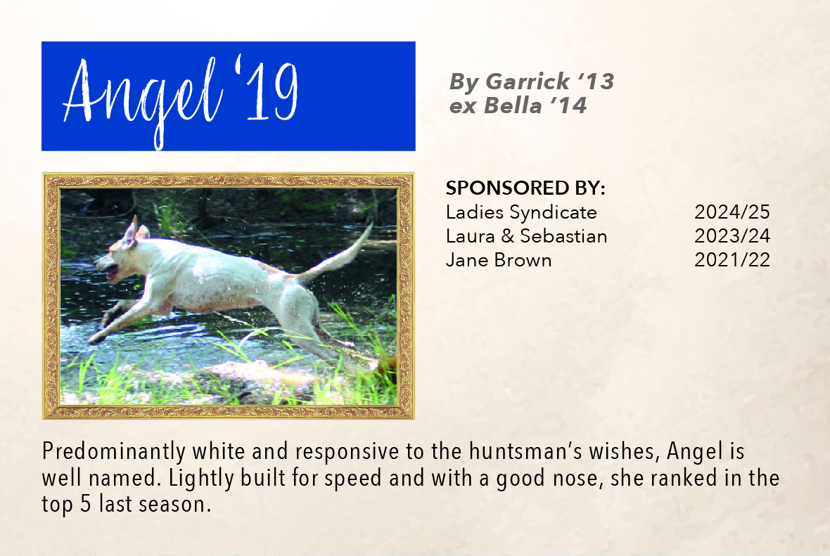 5_hound_pictures_&_sponsors_2024__angel_19.jpg