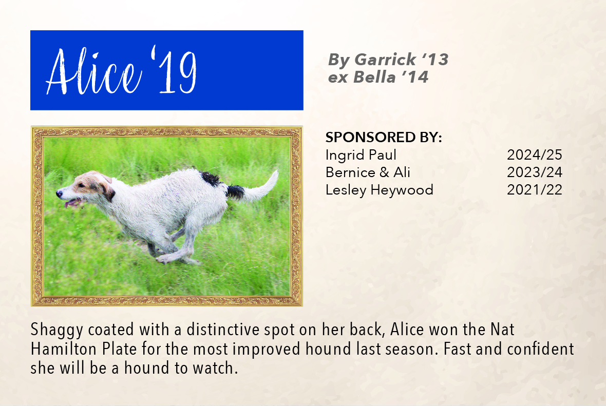 5_hound_pictures_&_sponsors_2024_alice_19.jpg