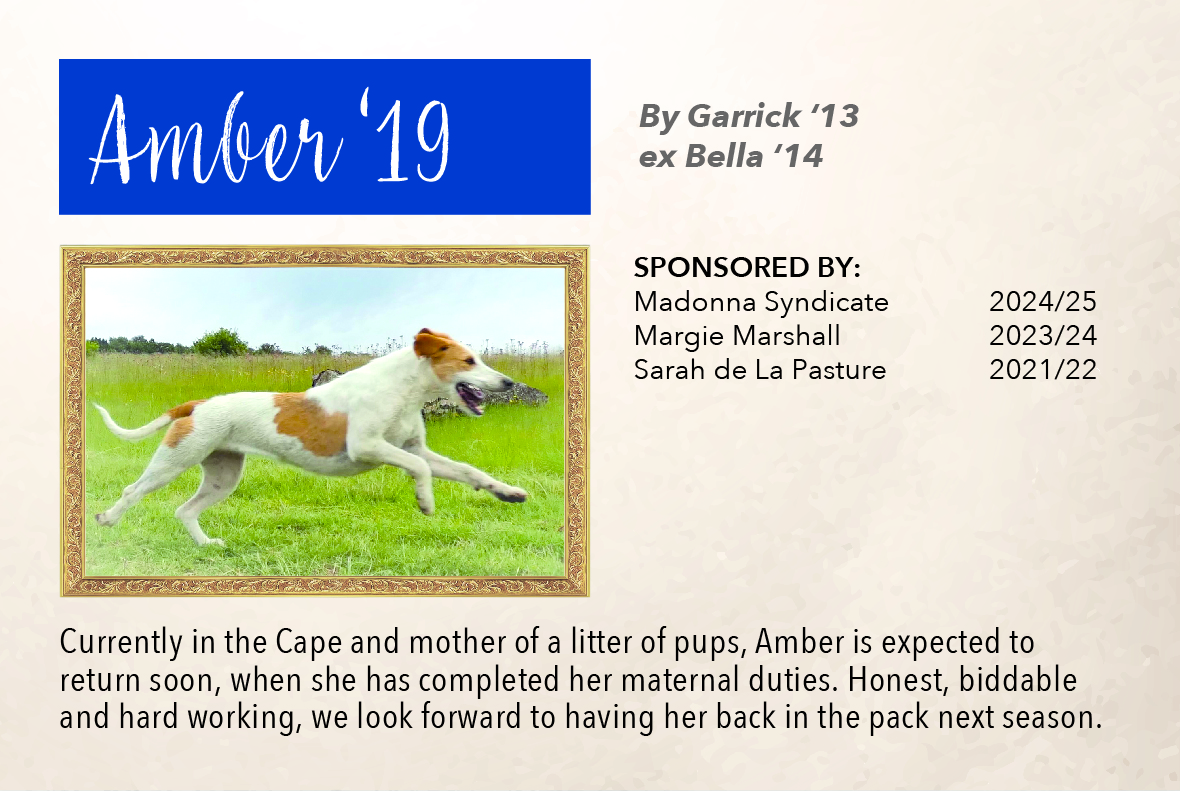 5_hound_pictures_&_sponsors_2024_amber_19.jpg