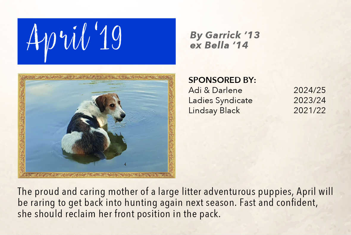 5_hound_pictures_&_sponsors_2024_april_19.jpg
