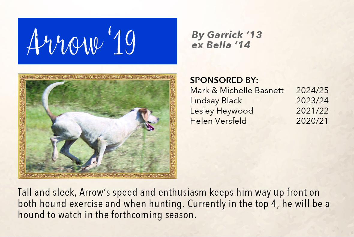 5_hound_pictures_&_sponsors_2024_arrow_19.jpg