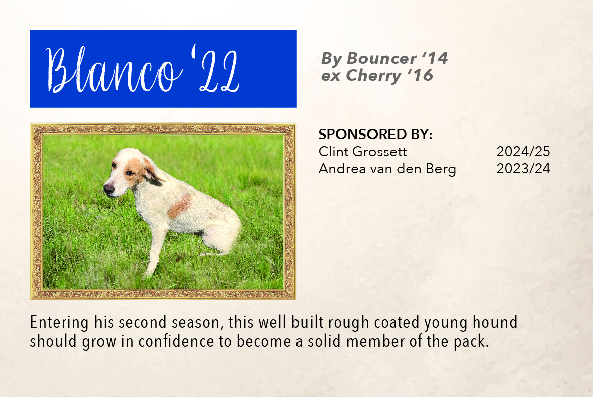 6_hound_pictures_&_sponsors_2024_blanco_22.jpg