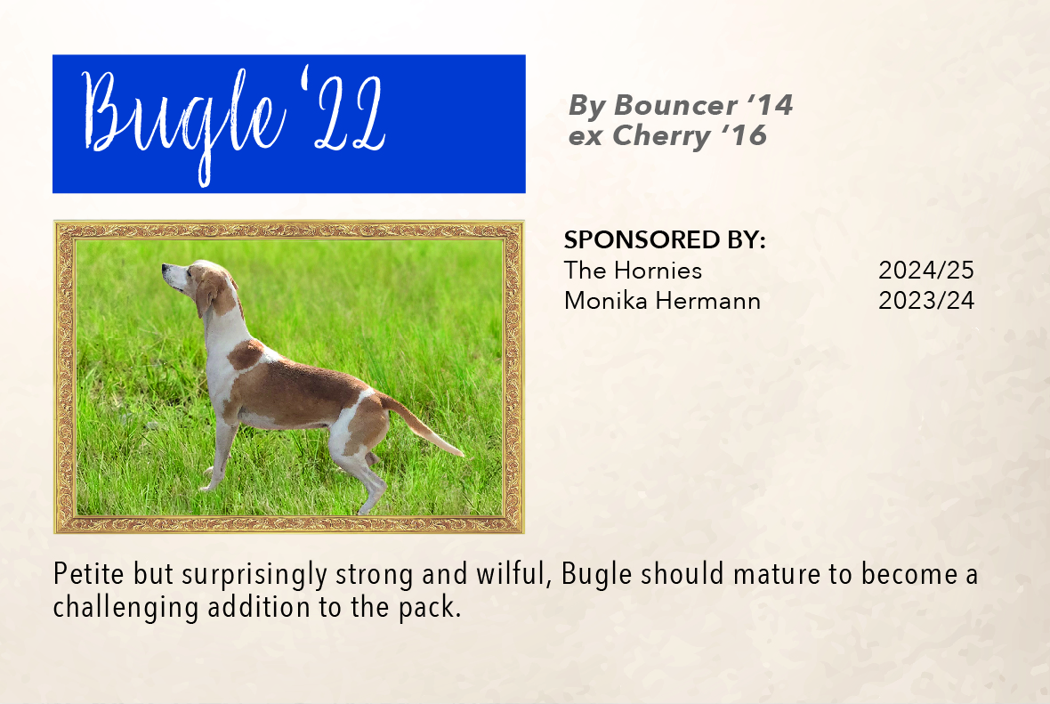6_hound_pictures_&_sponsors_2024_bugle_22.jpg