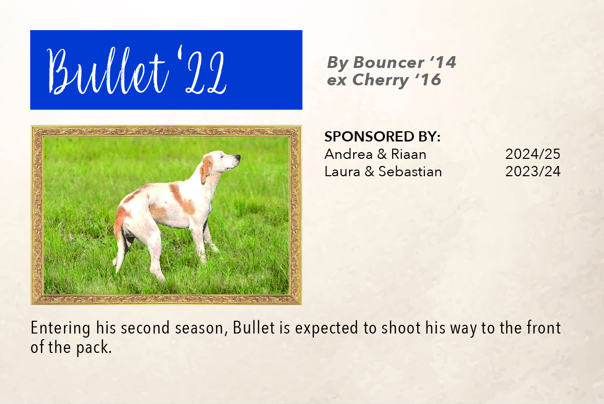 6_hound_pictures_&_sponsors_2024_bullet_22.jpg