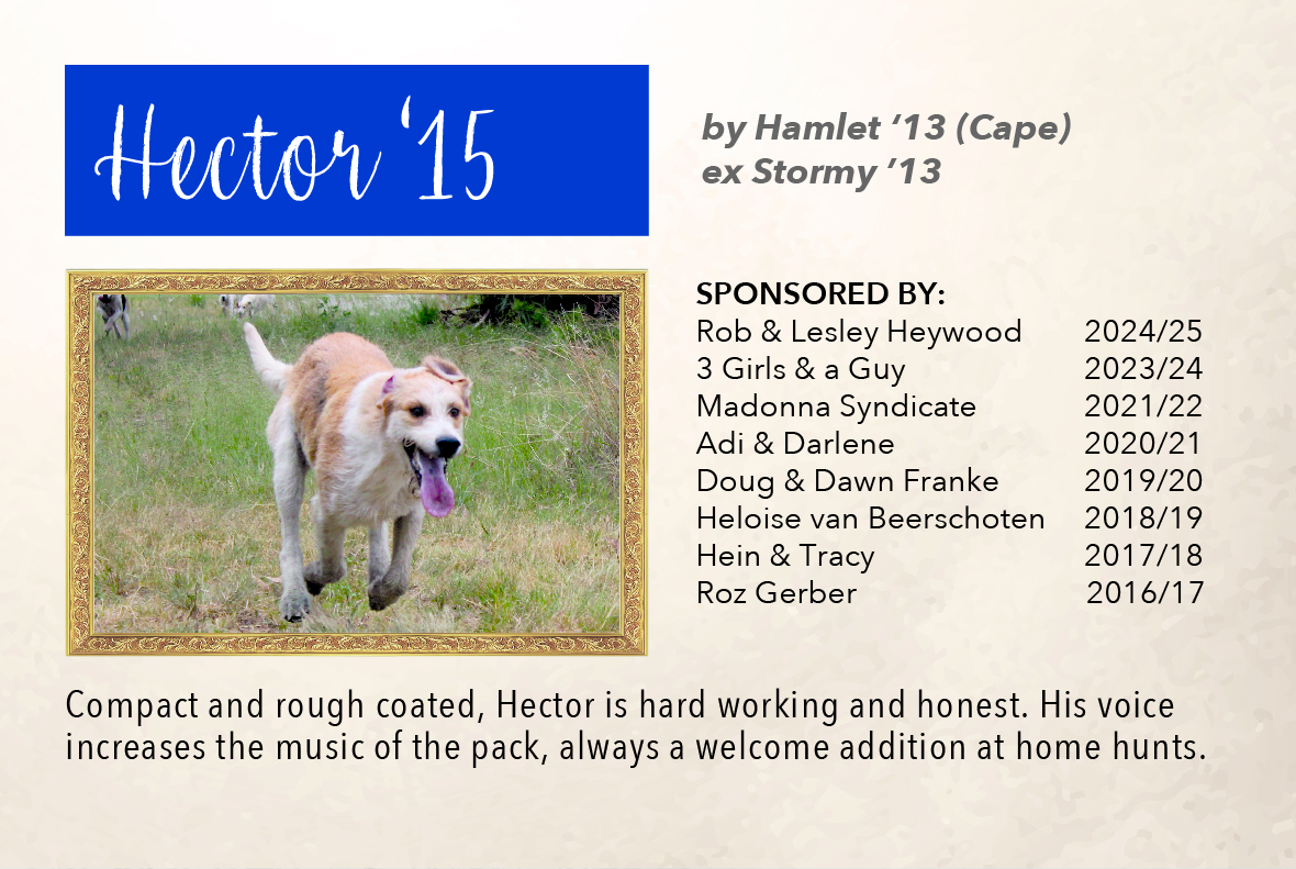 6_hound_pictures_&_sponsors_2024_hector_22.jpg